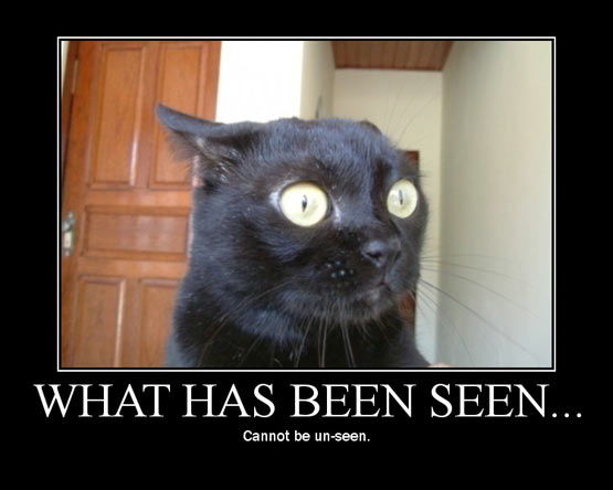 You're a kitty! Meme showing a frightened cat with the caption 'what has been seen cannot be unseen'